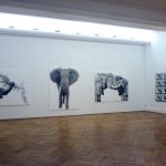 Volker Hildebrandt, Elephants.Eyes, Galerie Epikur Wuppertal, 2007 1