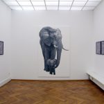 Volker Hildebrandt, Elephants.Eyes, Galerie Epikur Wuppertal, 2007 6