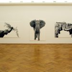 Volker Hildebrandt, Elephants.Eyes, Galerie Epikur Wuppertal, 2007 7